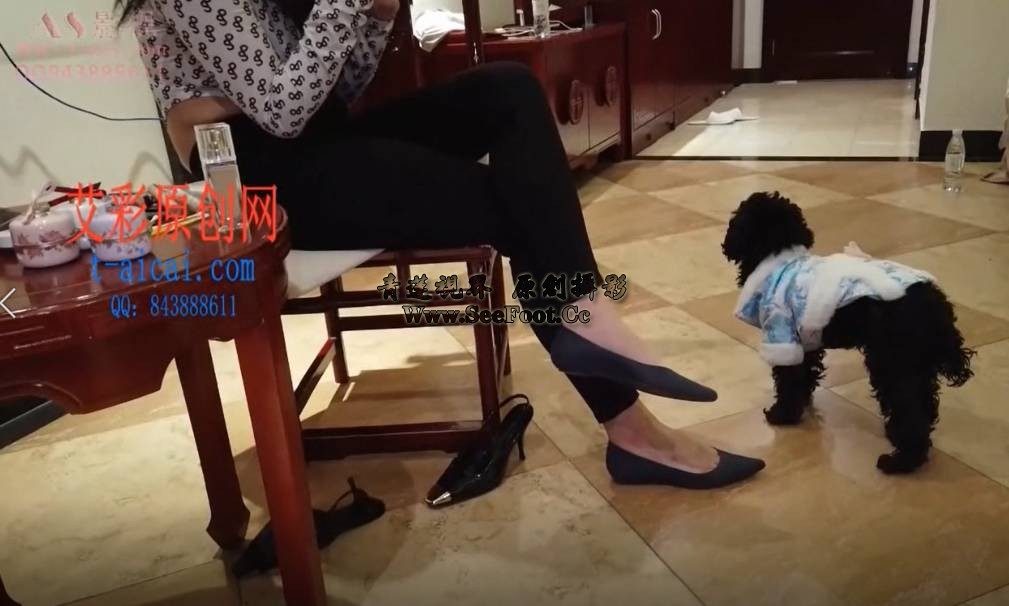 QQ截图20231025180332.png