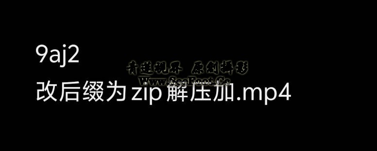 提取码